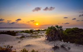 Kizingo Beach Eco Lodge