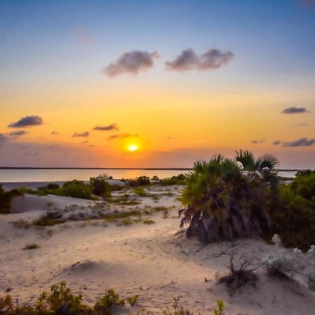 Kizingo Beach Eco Lodge Lamu Exterior foto